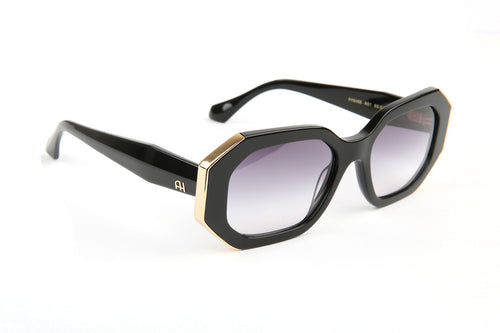 Gafas de sol Ana Hickmann AH9465 A01 negro