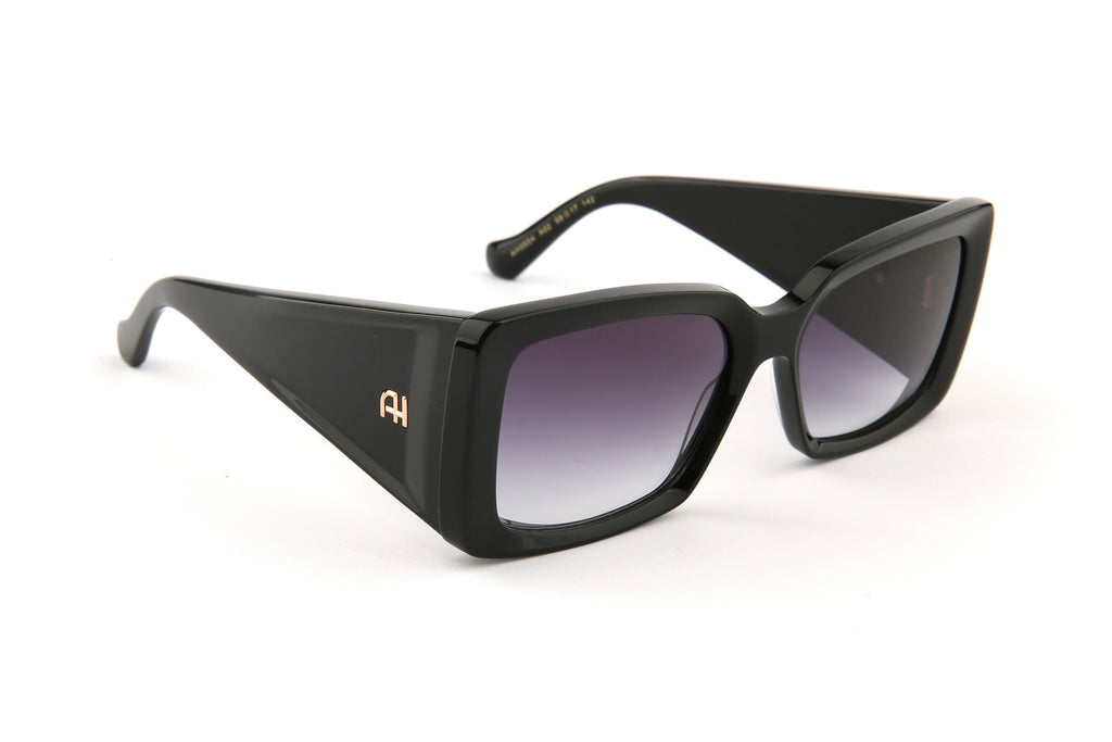 Gafas de sol Ana Hickmann AH9504 A02 negro