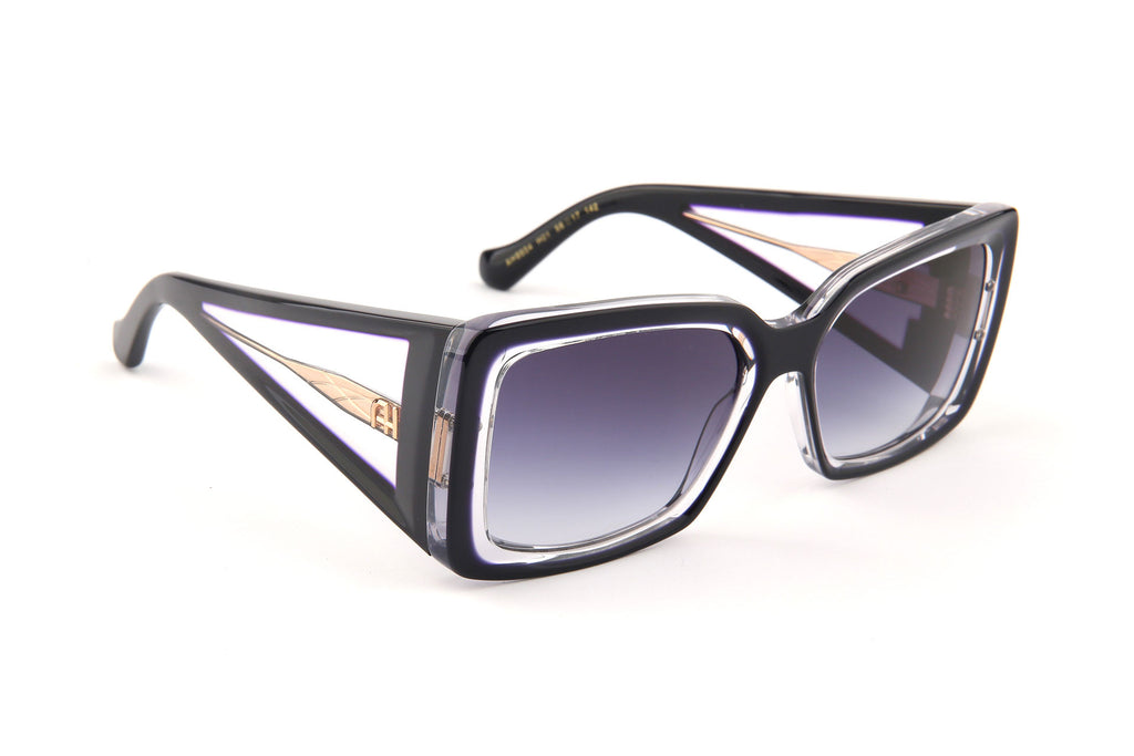Gafas de sol Ana Hickmann AH9504 H01 negro y lila transparente