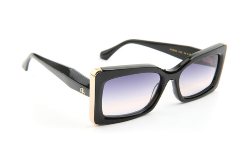 Gafas de sol Ana Hickmann AH9529 A02 negro