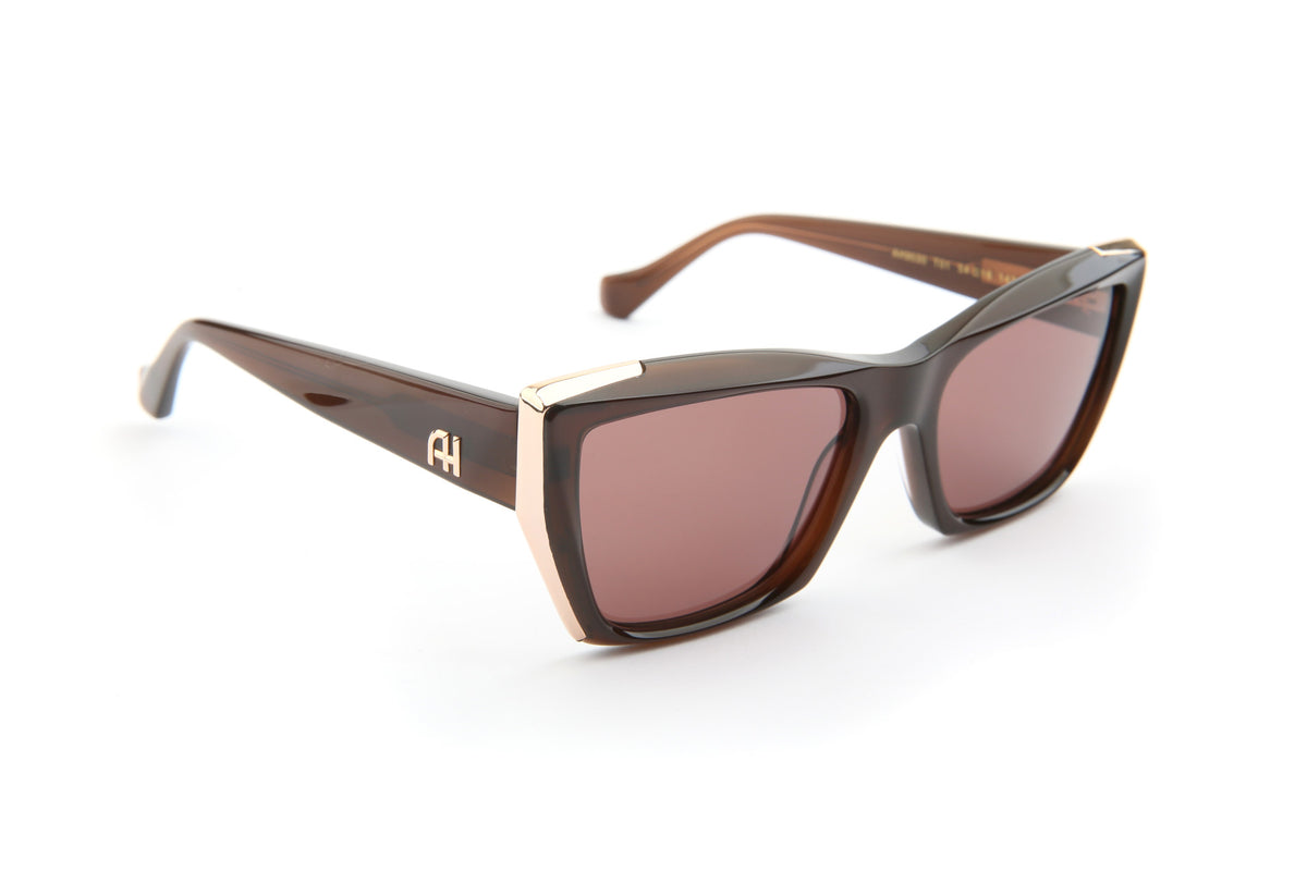Gafas de sol Ana Hickmann AH9530 T01 cat-eye marrón