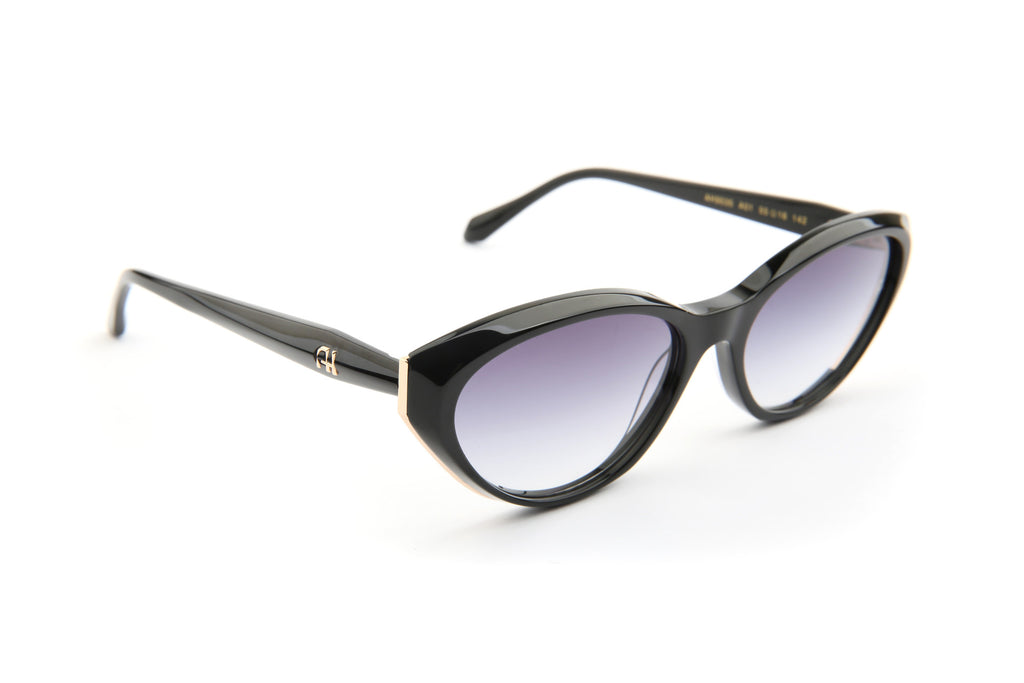 Gafas de sol Ana Hickmann AH9535 A01 negro