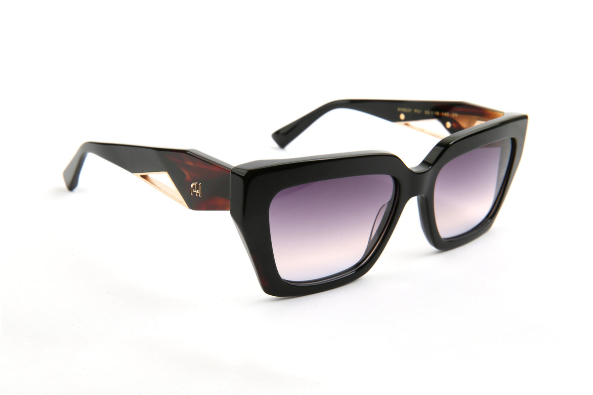 Gafas de sol Ana Hickmann AH9537 P01 negro con varillas havana